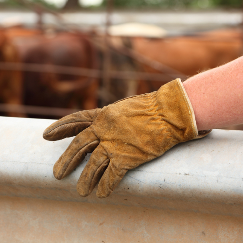 Farm gloves