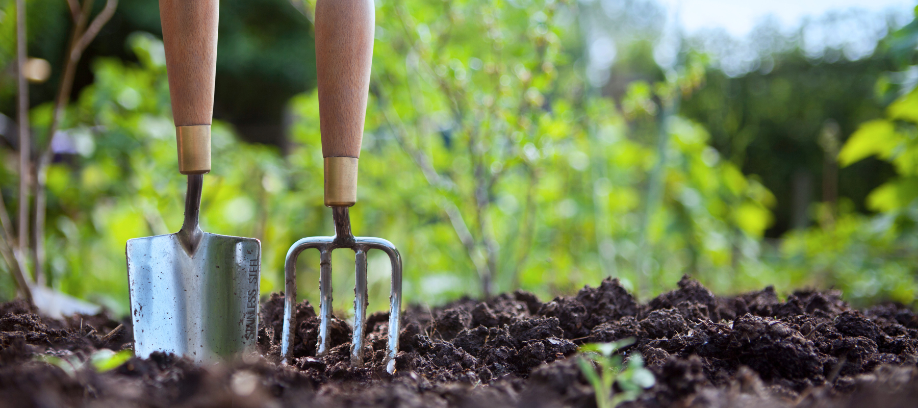 Lawn and garden tools in the soil